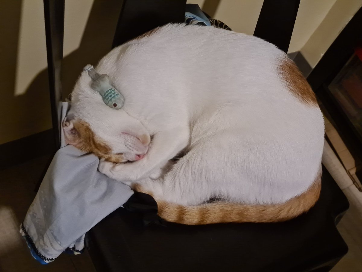 DOPPOJIN's tweet photo. @khoidaooo No but https://t.co/5EHCzspXY4