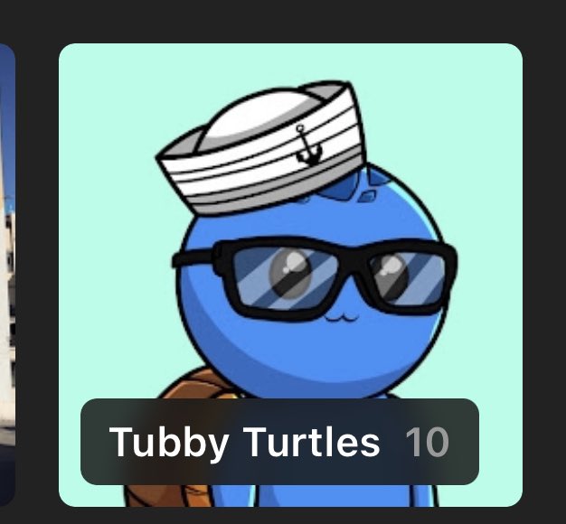 LevelUpChengis's tweet image. @BrentKessinger doesn’t travel alone. Loaded my #TurtleBag 🫡