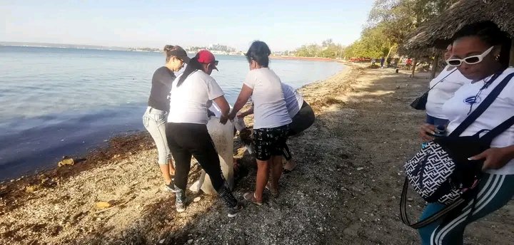 InesAbreu73's tweet photo. Jóvenes y trabajadores de la división territorial de Etecsa Cienfuegos realiza trabajo voluntario en el litoral de playa alegré y la laguna del cursen saludos al 4 de abril,al 1ro de Mayo y a los 30 años de la empresa.
#EsteEs https://t.co/WrAIjeUNQc