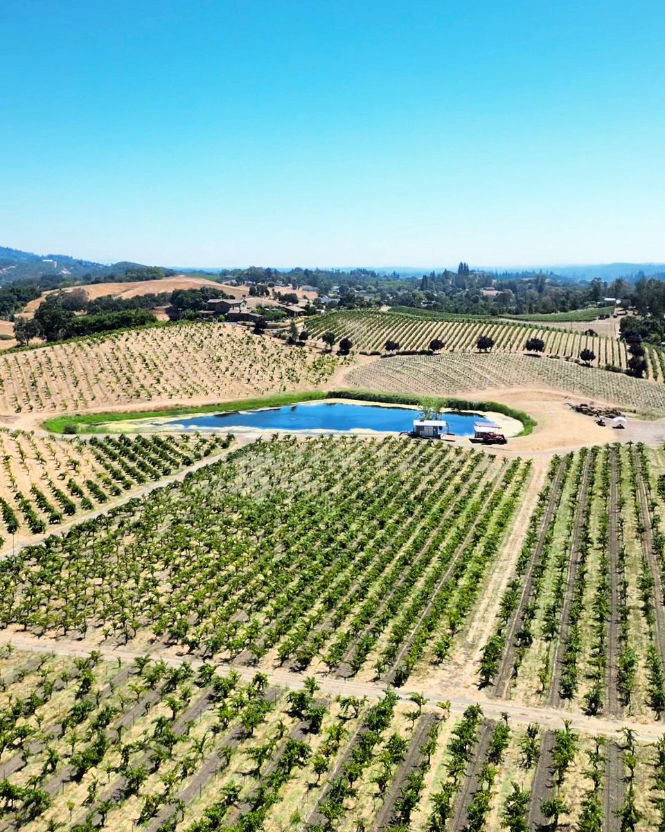 Ridge Vineyards a playground for old vine lovers! 🍇🍷✈️ Pic by @WineDesTnations CC: @RidgeVineyards