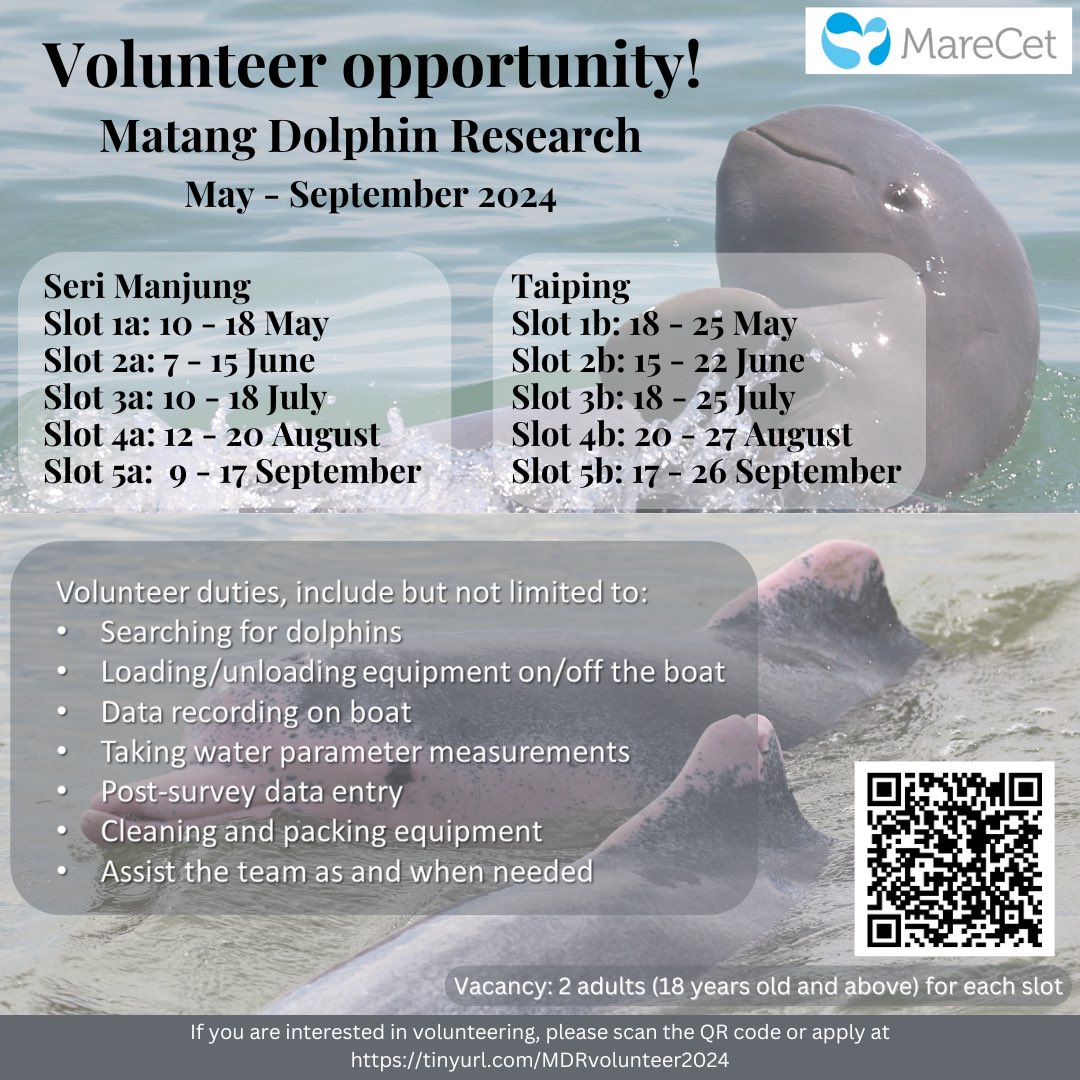 The Matang Dolphin Research Project is looking for volunteers! Interested applicants should fill out the volunteer application form via the provided link or QR code. Please contact saliza@marecet.org if you have any questions. Link: tinyurl.com/MDRVolunteer20…