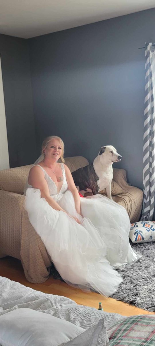 ✨ROB RINGER 🪄🎩✨ tweet media