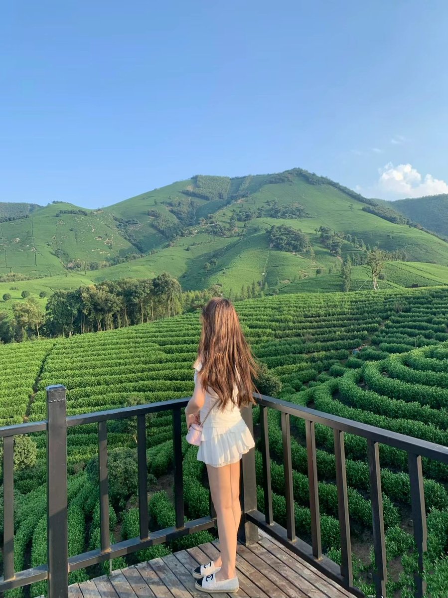 lucid waters and lush mountains are invaluable assets, this large area is tea garden, where the people are also happy ah.绿水青山就是金山银山，这一大片都是茶园，这里的老百姓还好幸福啊。 https://t.co/Icj6iVmlXL