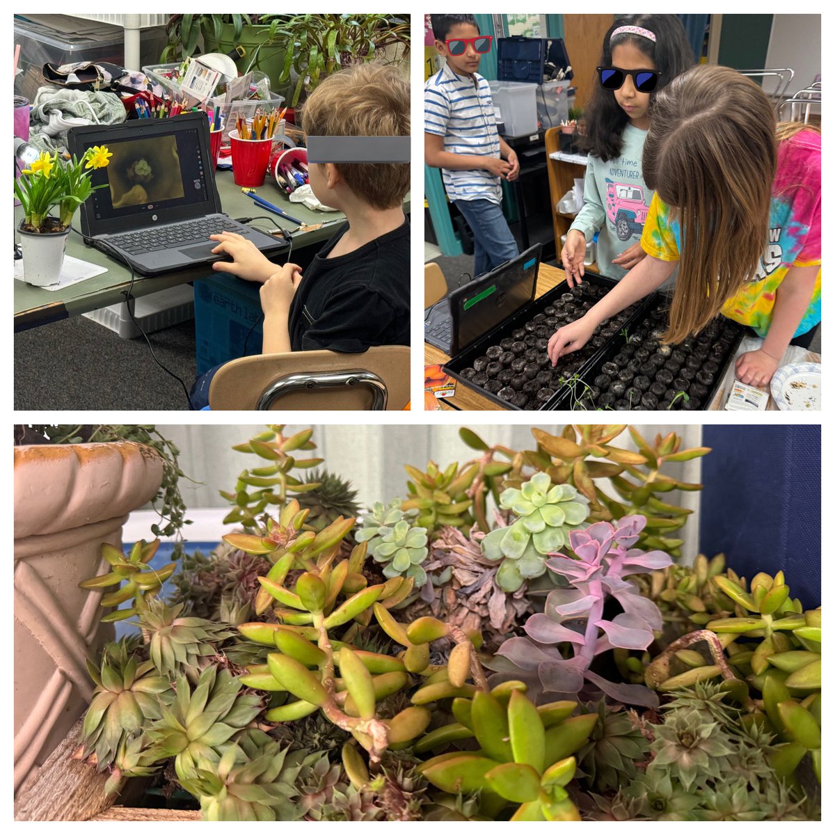 Melissa Eaton tweet media