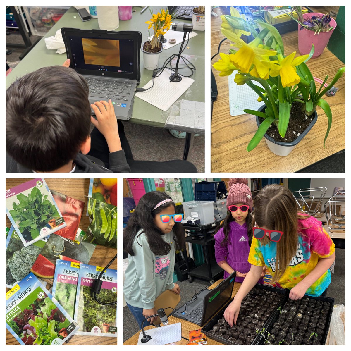 Melissa Eaton tweet media