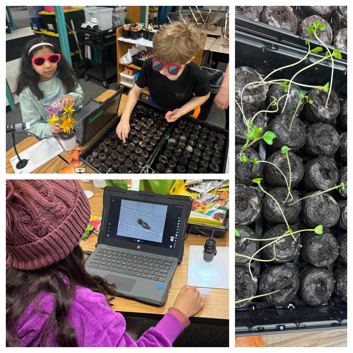 Melissa Eaton tweet media