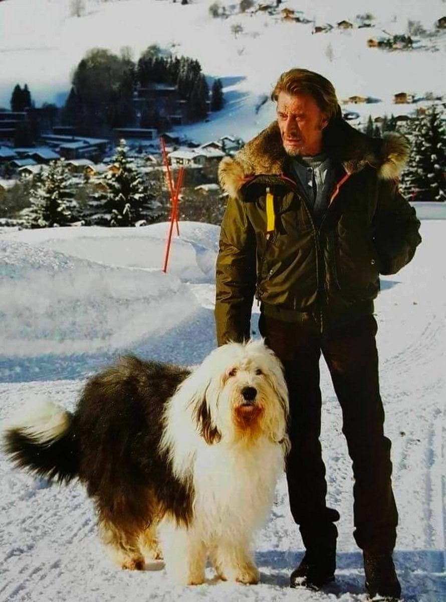 jeanphilVervie2's tweet photo. Aujourd'hui nous fêtons le   10 ème anniversaire de la sortie du film  " Salaud on t'aime "  avec Johnny Hallyday , Eddy Mitchell - film sorti le 2 avril 2014 https://t.co/xMP6gpwj7r