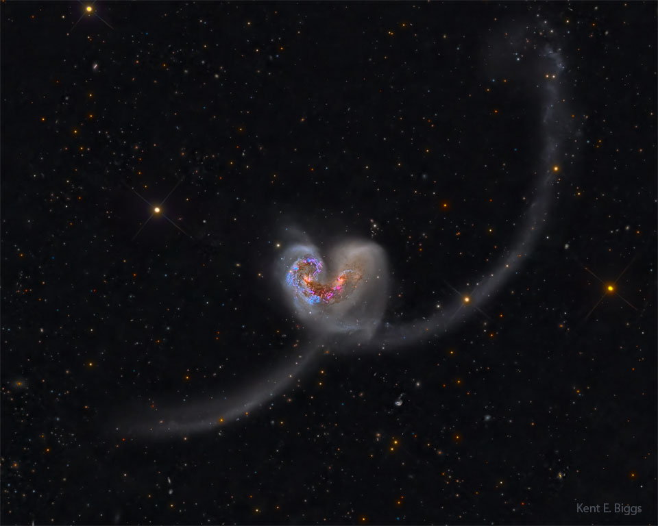 The Heart Shaped Antennae Galaxies Are these two galaxies really attracted to each other? Yes, gravitationally, and the result appears as an enormous iconic heart — at least for now. Pictured is the pair of galaxies cataloged as NGC 4038 and NGC 4039, known as the Antennae