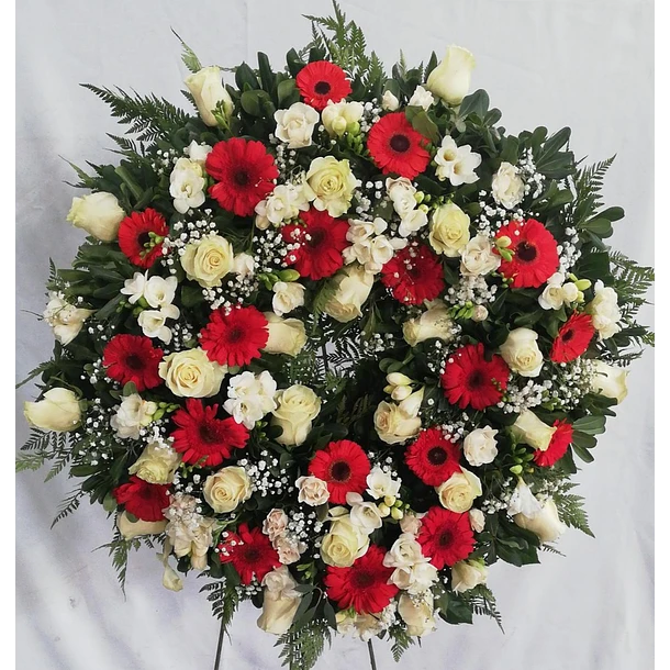 MariaH54234460's tweet photo. @MonarquiaEspana https://t.co/hH2HWpx11P