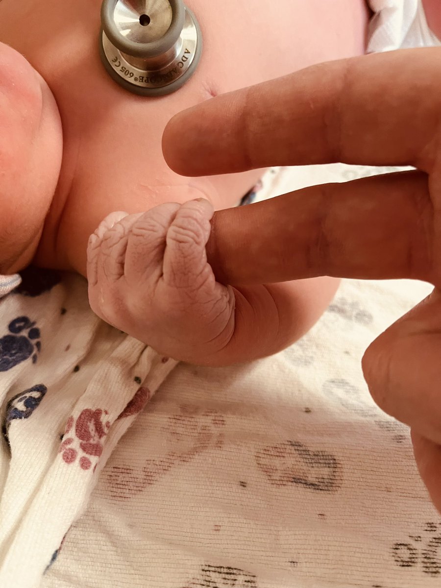 Alejandro Flores tweet media