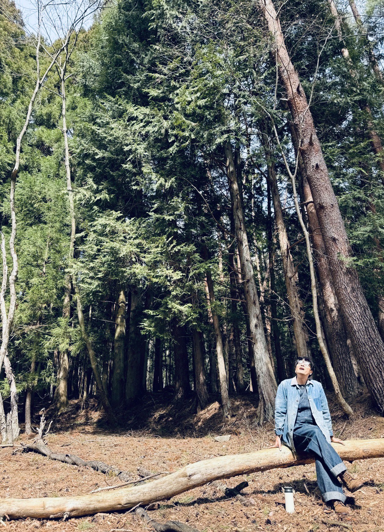 森山直太朗Official on X: 