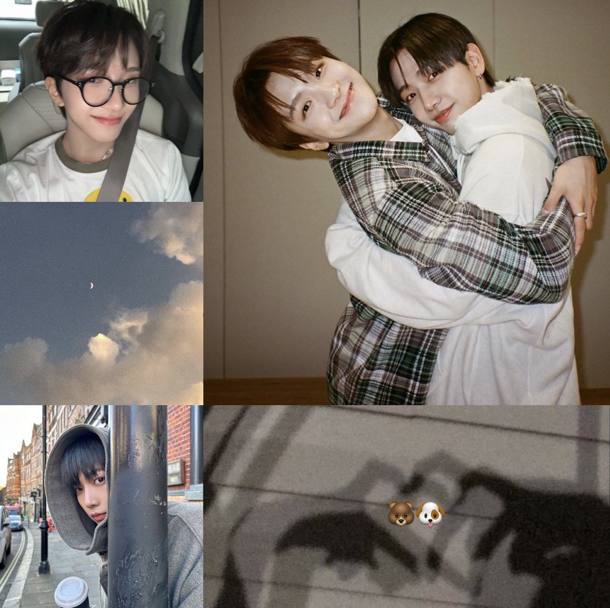 🐶시호🐻 tweet media