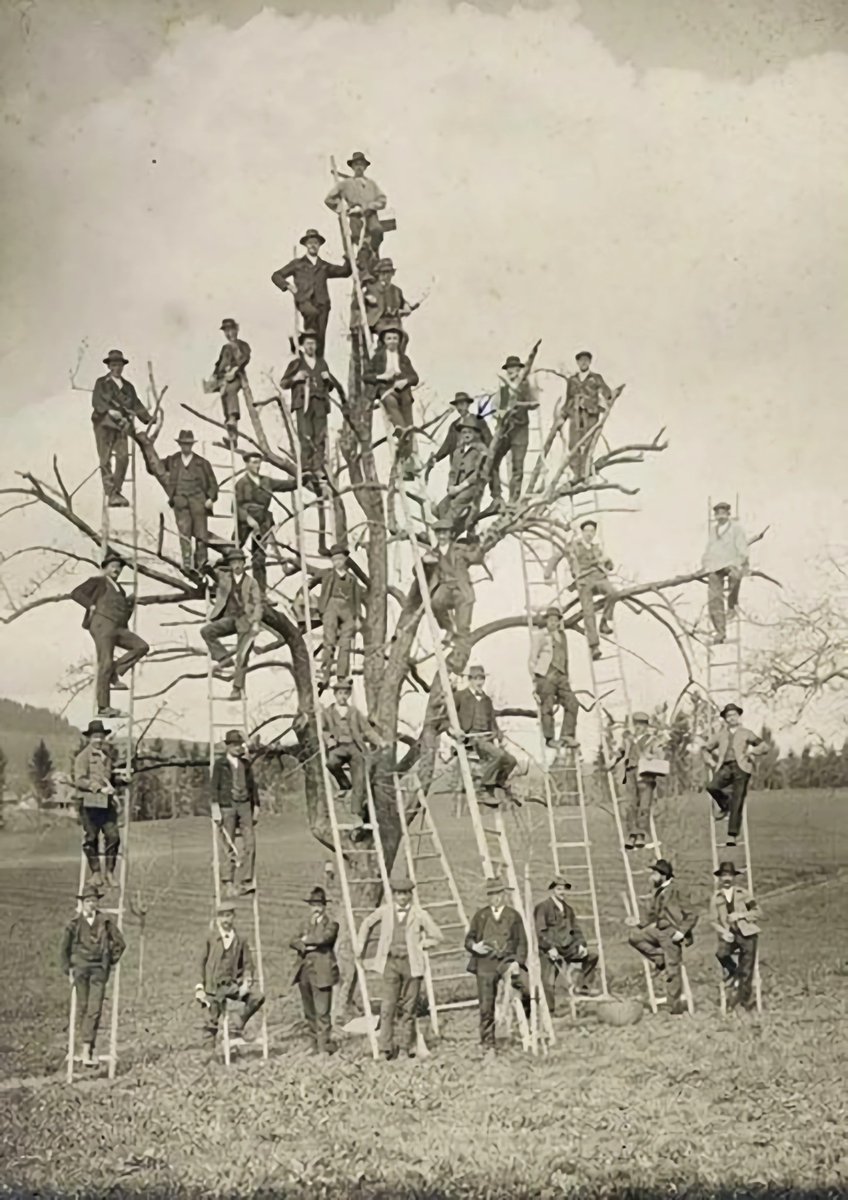 Bio_comunidad's tweet photo. SUPER INTERESANTE

Para nacer necesitamos:

2 Padres

4 Abuelos

8 Bisabuelos

16 Tatarabuelos

32 Trastatarabuelos

64 Pentabuelos

128 Hexabuelos

256 Heptabuelos

512 Octabuelos

1024 Eneabuelos

2048 Decabuelos

Solo el total de las últimas 11 generaciones, fueron necesarios 4.094 ANCESTRALES, ¡todo esto en aproximadamente 300 años antes de que naciéramos tú o yo!

Detente un momento y piensa...

¿De dónde salieron?

¿Cuántas luchas han luchado?

¿Por cuánta hambre han pasado?

¿Cuántas guerras han vivido?

¿Cuántas vicisitudes sobrevivieron nuestros antepasados?

Por otro lado, cuánto amor, fuerza, alegrías y estímulos nos legaron?

Cuanto, de su fuerza para sobrevivir, cada uno de ellos tuvieron y dejaron dentro de nosotros para que hoy estemos vivos.

Solo existimos gracias a todo lo que cada uno de ellos ha pasado.