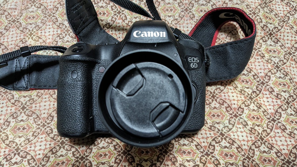 MasuyaTsuyoshi's tweet image. 写活、再開！

#EOS6D