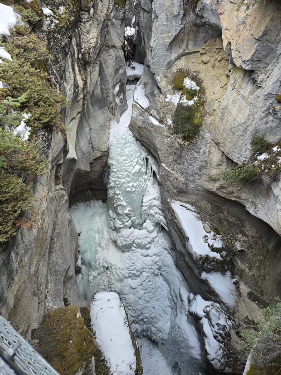 BHCS Ski Trip tweet media