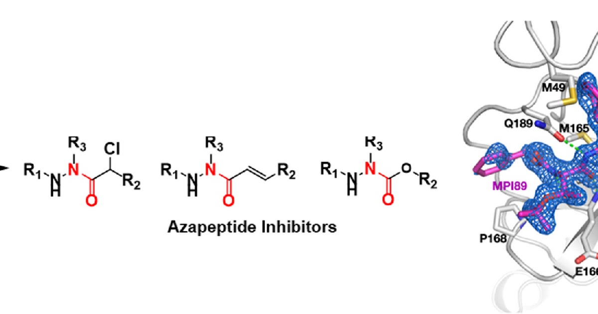 Covalent Modifiers (@covalentmod) on Twitter photo Azapeptides with unique covalent warheads as SARS-CoV-2 main protease inhibitors dlvr.it/T4xMLx Azapeptides with unique covalent warheads as SARS-CoV-2 main protease inhibitors dlvr.it/T4xMLx