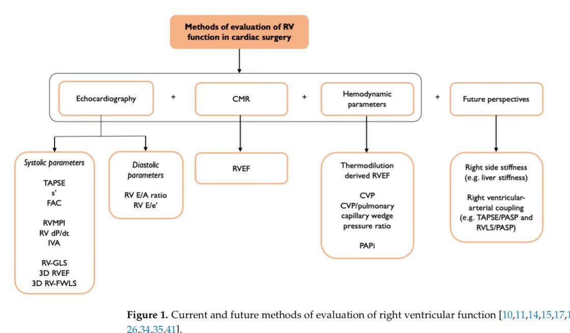 Right Ventricular Dysfunction before and after Cardiac Surgery: Prognostic Implications doi.org/10.3390/jcm130… #CardioEd #echofirst #CardioTwitter