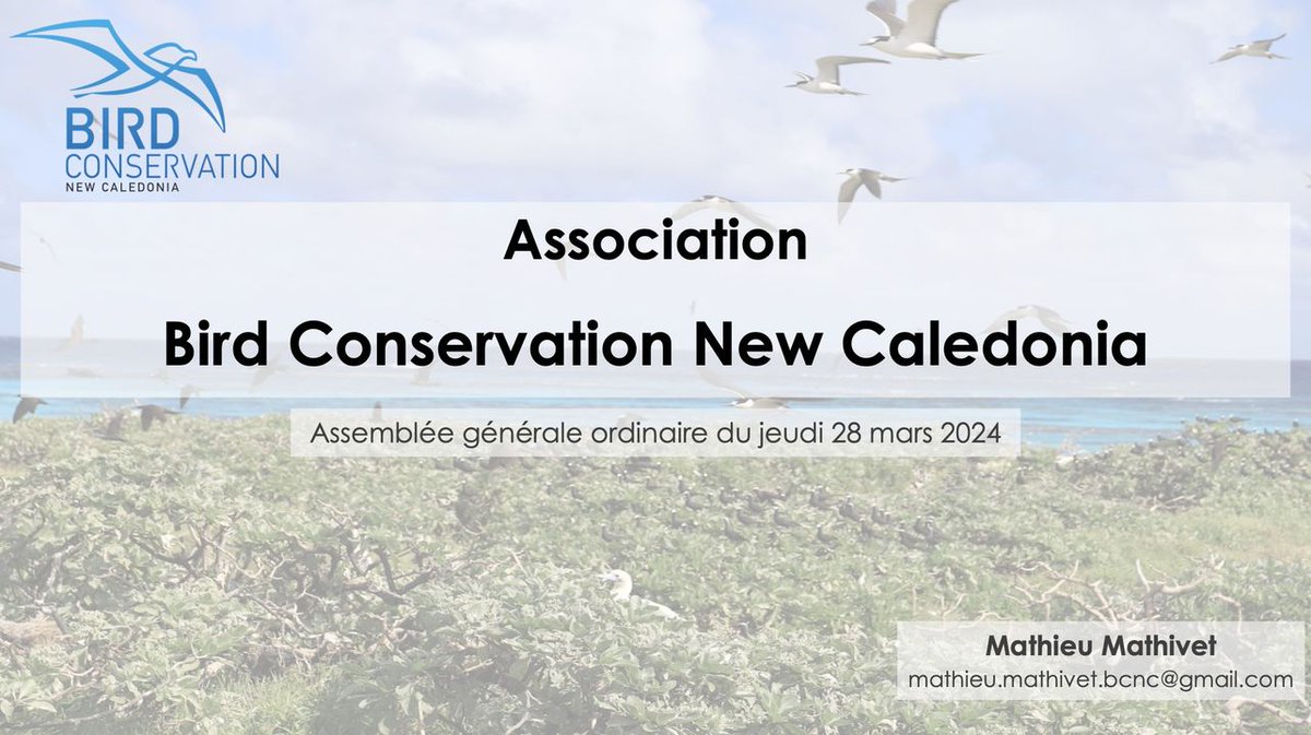 Bird Conservation New Caledonia tweet media