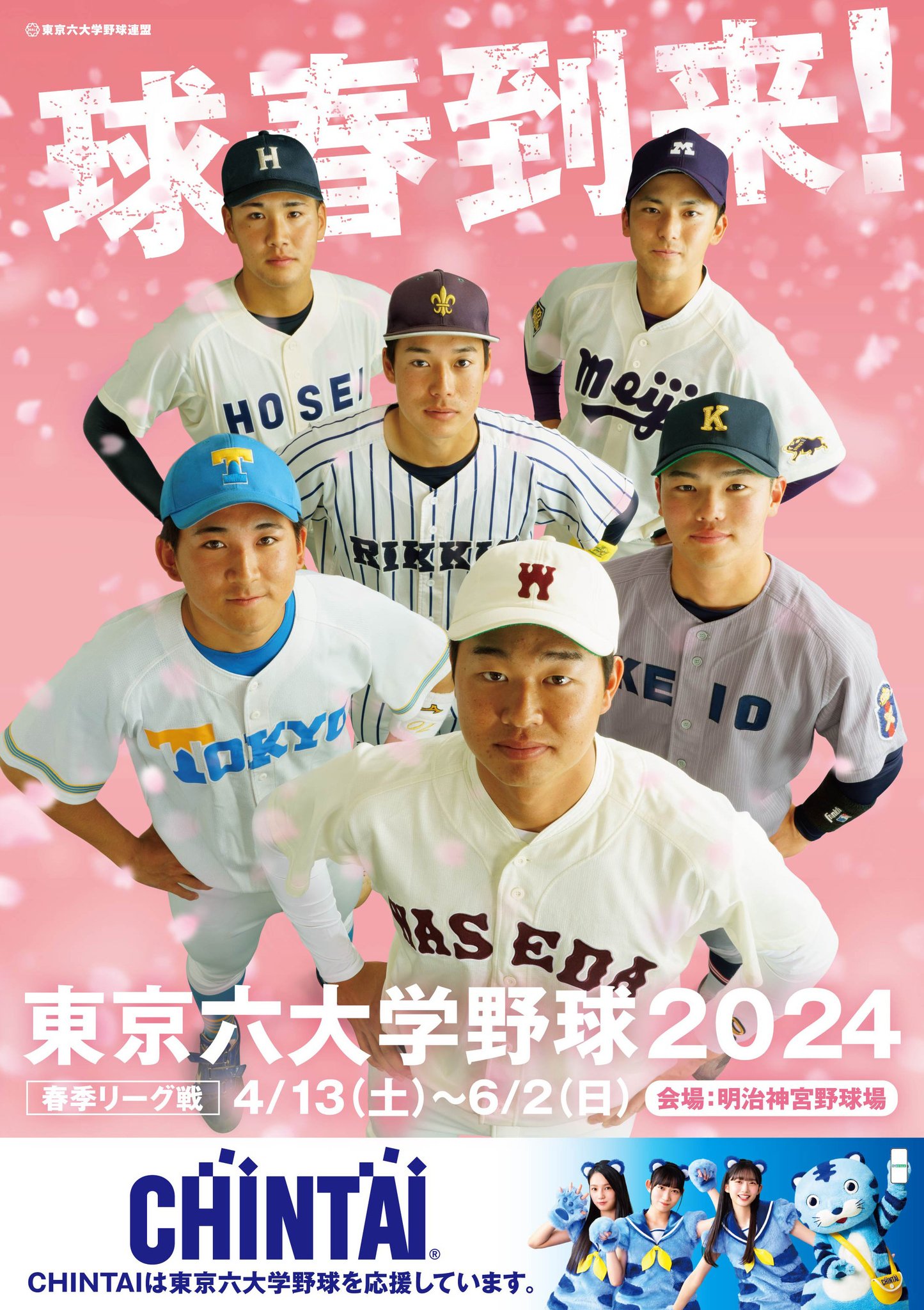 AM6207② 東京六大学野球2007 春季リーグ戦 DVD SALENEW大人気 AM6207② 東京六大学野球2007 春季リーグ戦 DVD SALENEW大人気