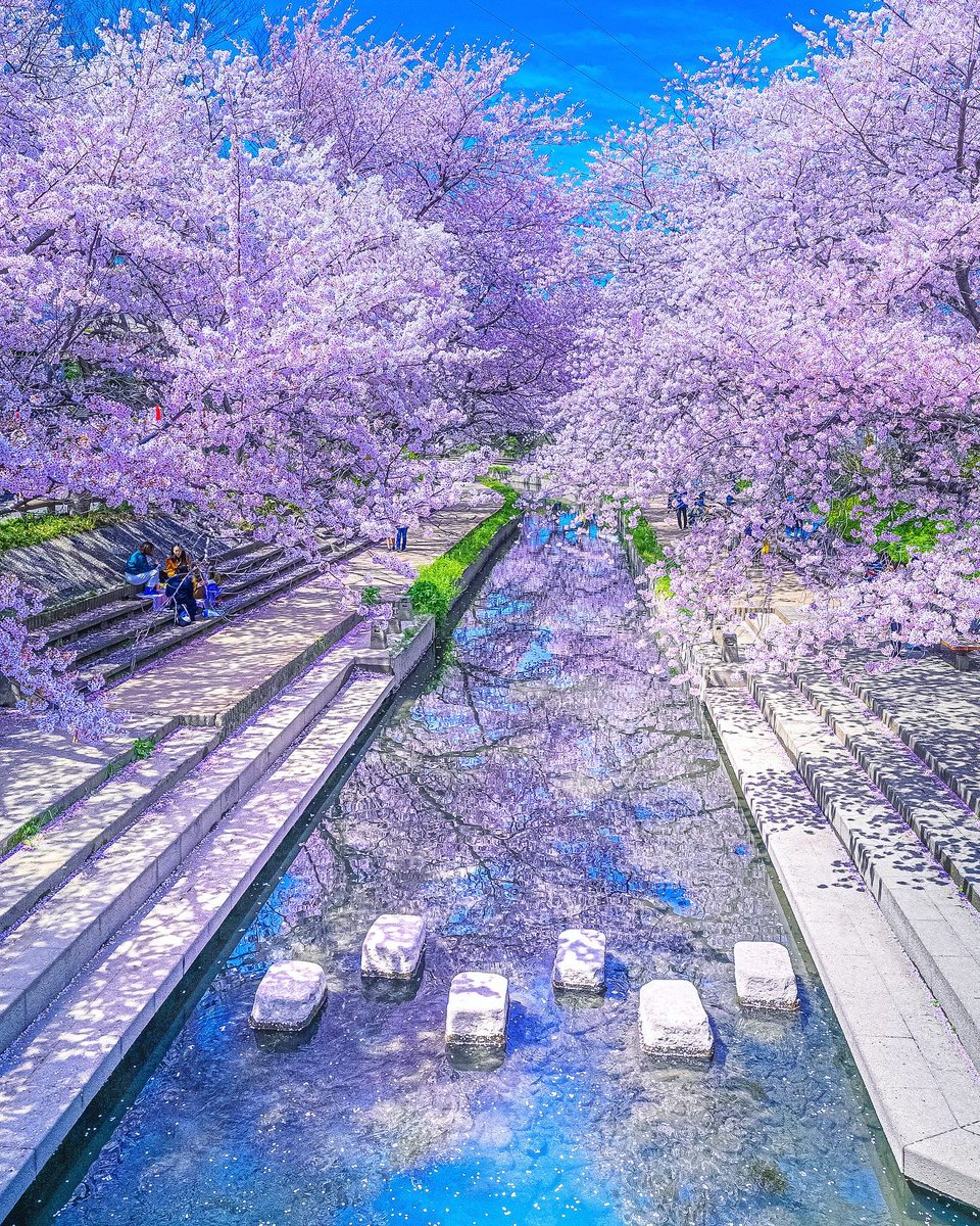 _WaterVibes's tweet image. Saitama, Japan 🇯🇵