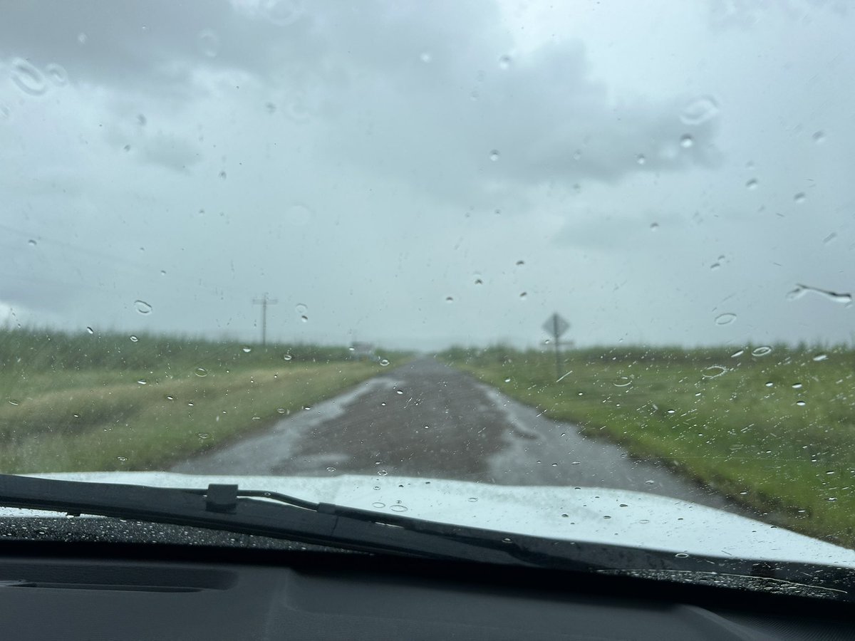 Asking for a friend; when will the dry get here? Though, the cotton I planted last week is loving the 40mm we received overnight at KRS 🌱🌧️ <a href="/CottonInfoAust/">CottonInfo</a> <a href="/CottonResearch/">CRDC</a> @DAFQld