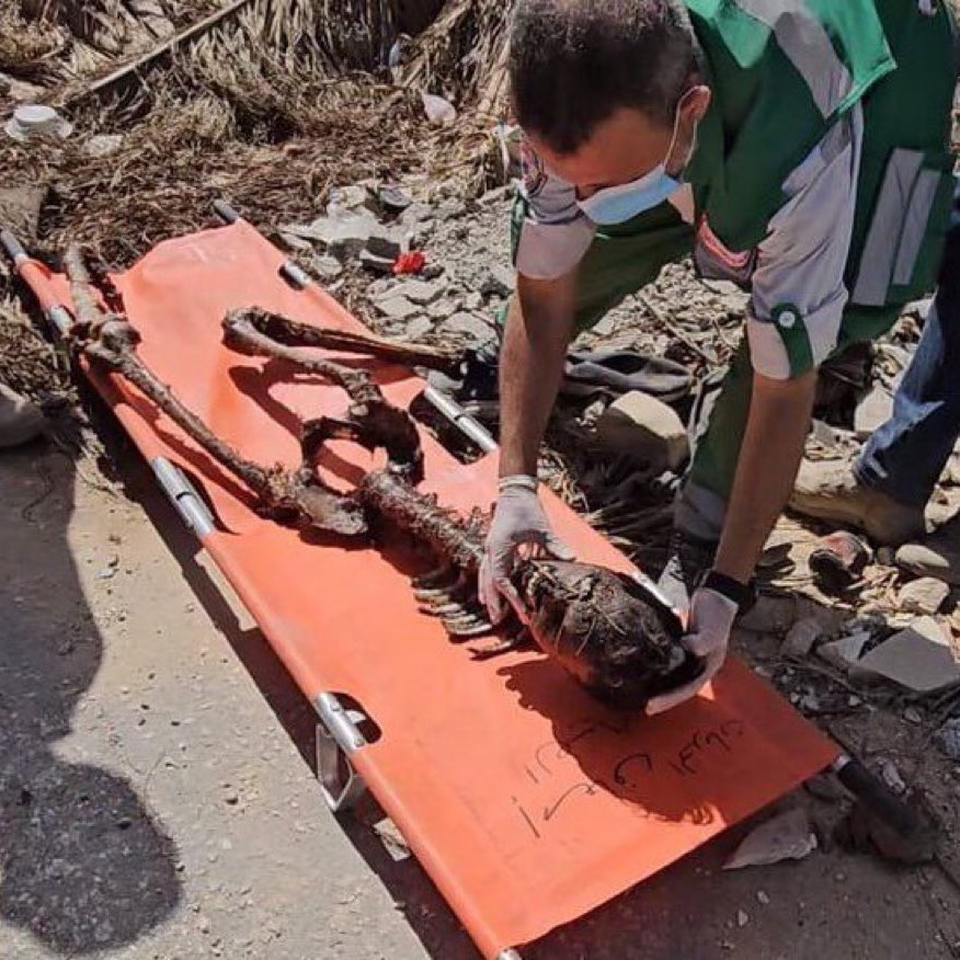 jacksonhinkle's tweet photo. 💔🇵🇸 This is what ISRAEL does to Palestinian children... https://t.co/MxmQOwlDM6