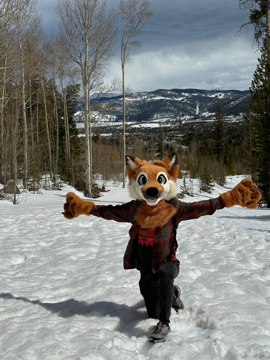 What's the point of being a fox if you aren't frolicking in the snow :P