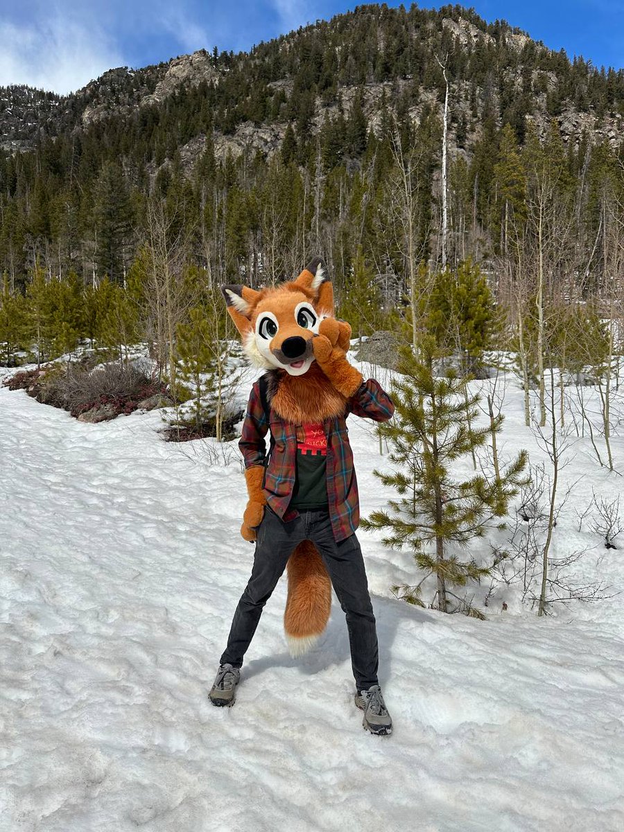 Trench Fox tweet media