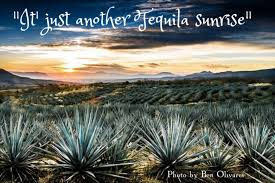 1stungun's tweet photo. #GenZASong
πΆJust another Meh Sunrise... πΆ
@Midnight https://t.co/L0cbIND1By