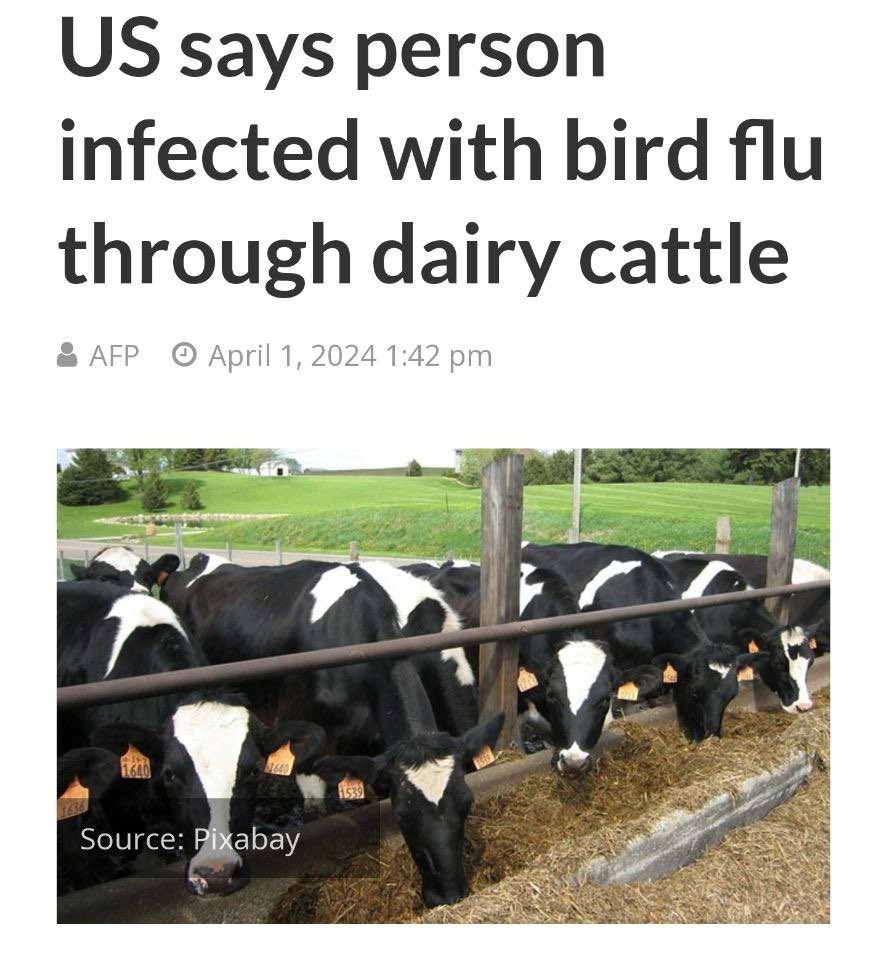 So this new virus jumps from birds, to cows, to humans? How is that even possible?