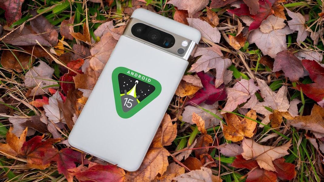 CeotechI's tweet photo. Android 14 QPR3 Beta 2.1 disponibile con tante correzioni
#Aggiornamenti #Android #Android14 #Android14QPR3 #Beta21 #Google #GooglePixel #Notizie #Novità #Pixel5a #Pixel6 #Pixel7 #Pixel8 #PixelFold #PixelTablet #QPR3 #Sicurezza #Tecnologia #Update
https://t.co/I8MEoRcg2M https://t.co/FvmWNfnBpN