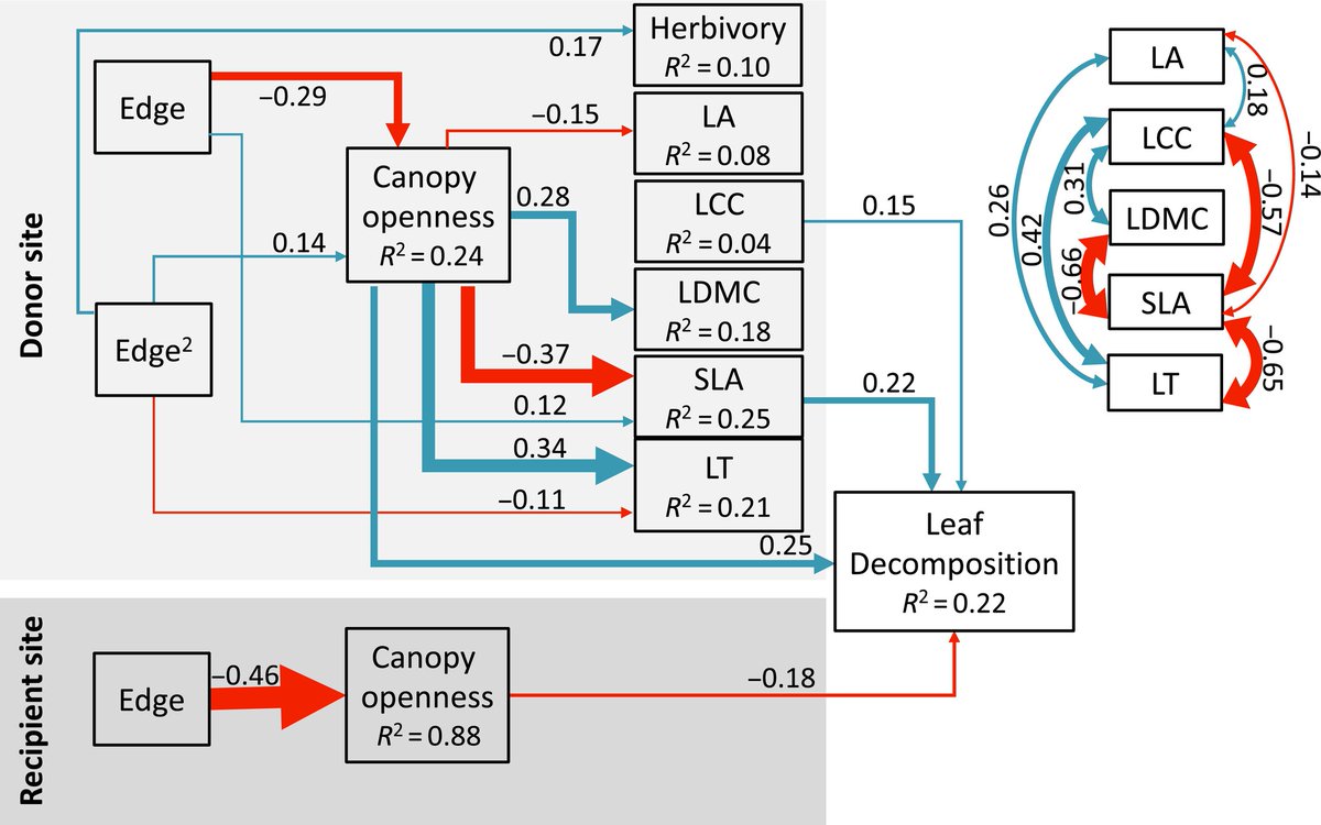 Intraspecific leaf #trait response to edge effects decreases leaf decomposition in fragmented forests. Important insight for the functional link between #EnvironmentalChange and ecological processes. A new paper out in @ESAEcology led by @Shilu_Zheng doi.org/10.1002/ecy.42…