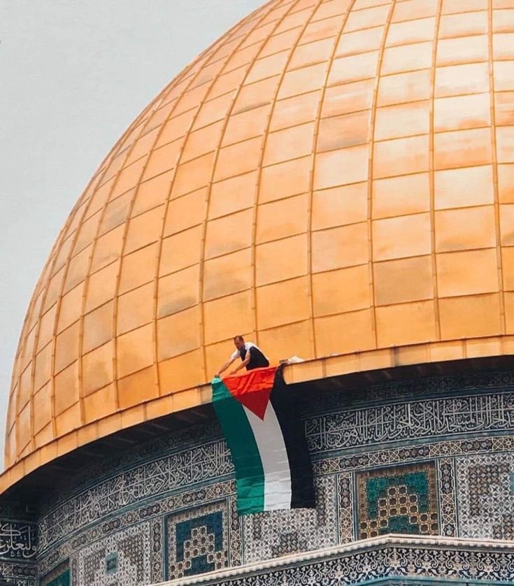 ❤️🇵🇸