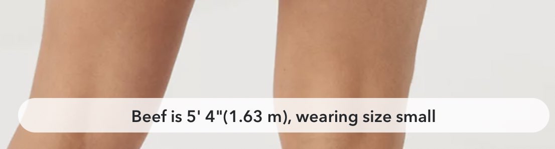 you know how websites always tell you what size the model in the photo is wearing