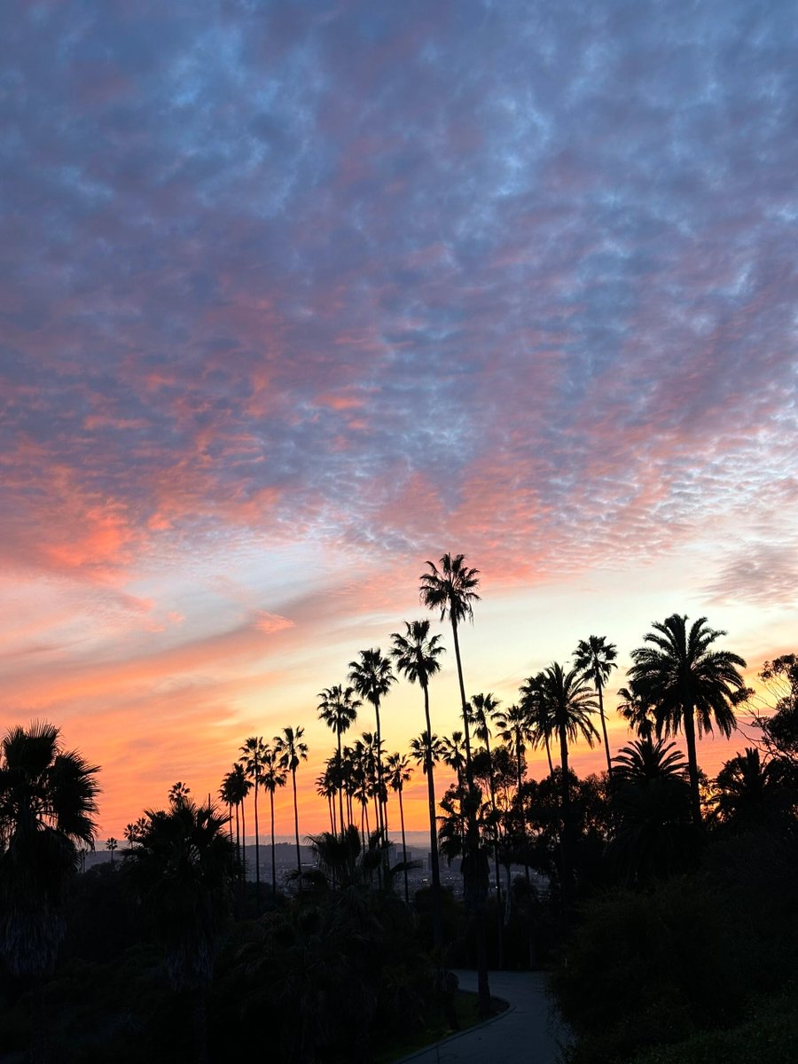 The city at night seems to have a different kind of vitality, flowing with endless rhythm and lively atmosphere, making people feel relaxed and happy, lingering and unforgettable.