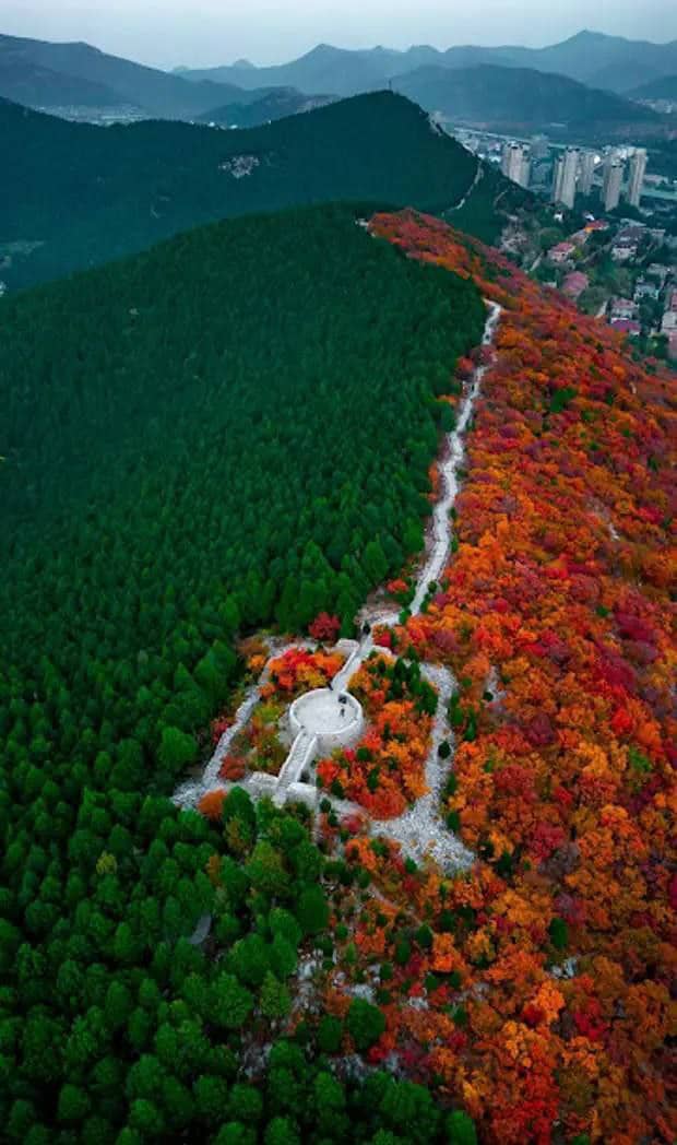 يا جماعه افتوني
تعرفت ع بنت جلسنا شهرين وماخرجت معاها ولا لقينا بعض معرفه بس بالتلفون واخوها عرف بكل شي وضربها ومنع عنها التلفون

الان تقدمت لها من الباب وابوها قال بعد العيد لنا خبر واخوها بيهدد انه عيقتلها ويفضحها عند ابوها واذا عرف أبوها عيقتلها

قلولي ماهو افعل من يقدر ينقذني
