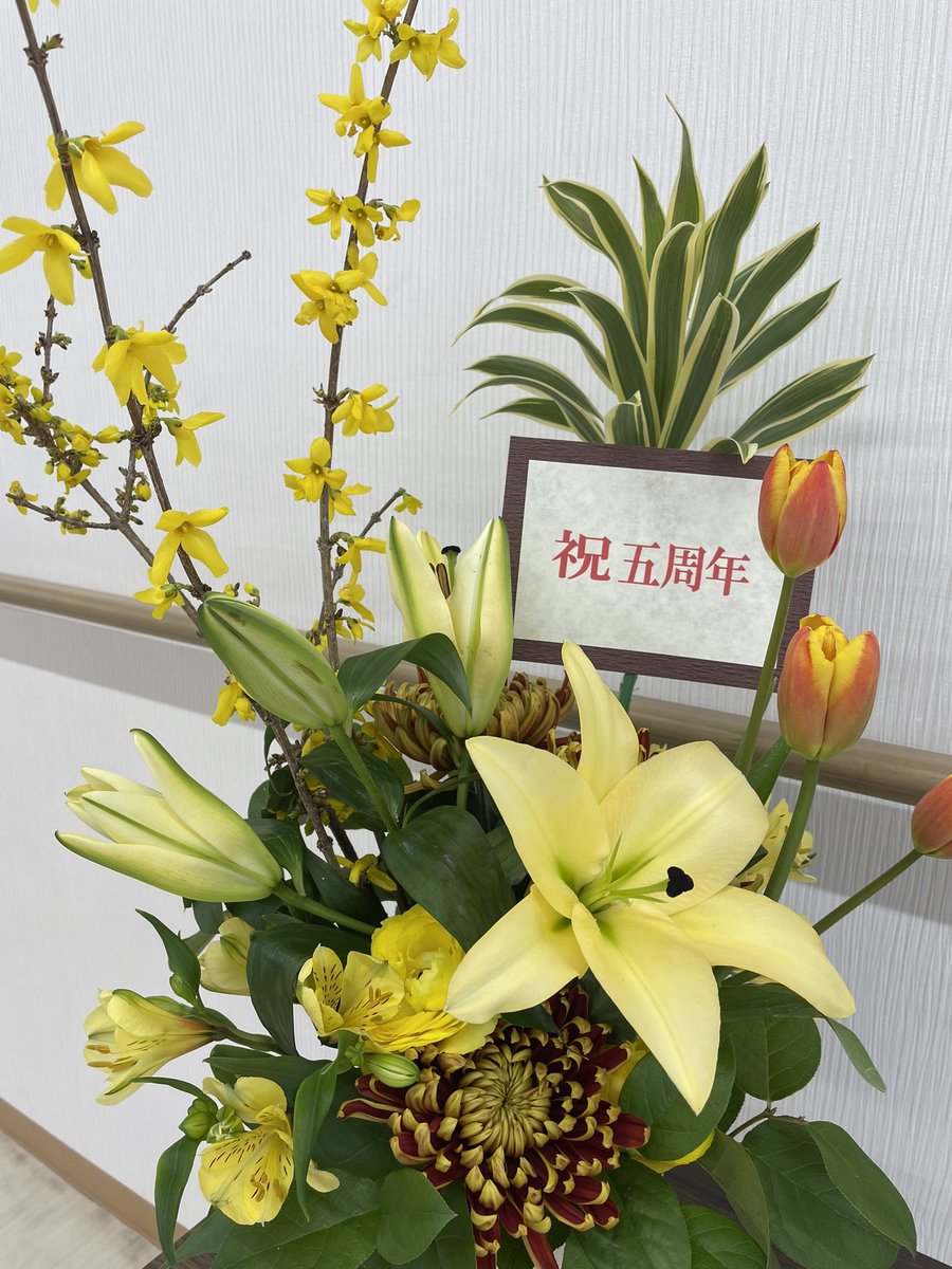 locomoup's tweet photo. ロコモアップ西岡
脳卒中認定理学療法士
札幌短時間デイサービス

いよいよ新年度がはじまりましたね
ロコモアップ西岡も支えてくださった皆様のおかげで5年目を迎えることができました！

お花も送っていただき感激です！

ありがとうございます🌷 https://t.co/th8izT17Pf