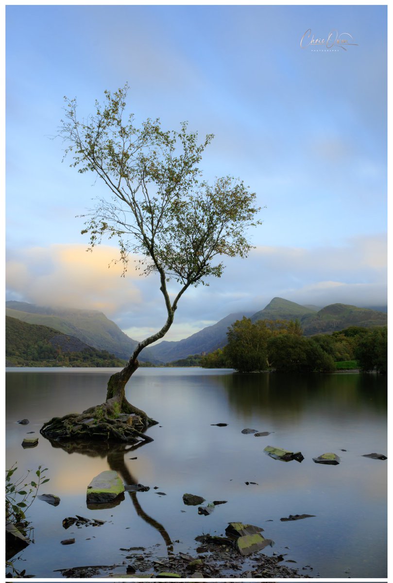 Good morning all, last night shift done ✔️. Bed for a couple of hours, then up and enjoy some time off. I will get out and about this week. 📸

Lone Tree, Llanberis 👇
#Landscapes #landscapephotography #Eryri #Photography #Llanberis #longexposure #follow 
@DPhotographer