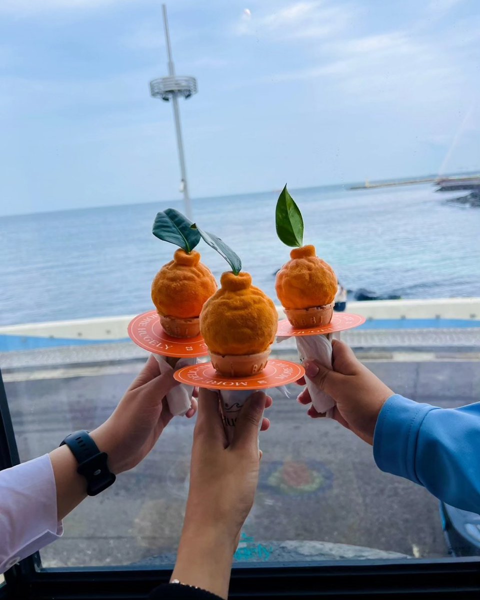 Tried finding s rank hunters here but settled for the coastal views and sorbet instead 🍊