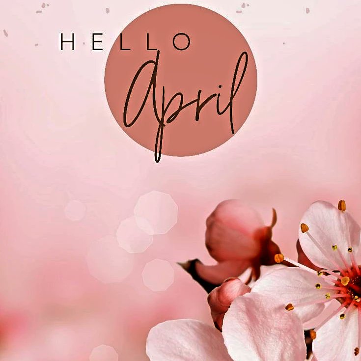 ✨️#helloapril #springishere ✨️🤎🦋🌻⚘️🌼🌸🪷🌺💋💫