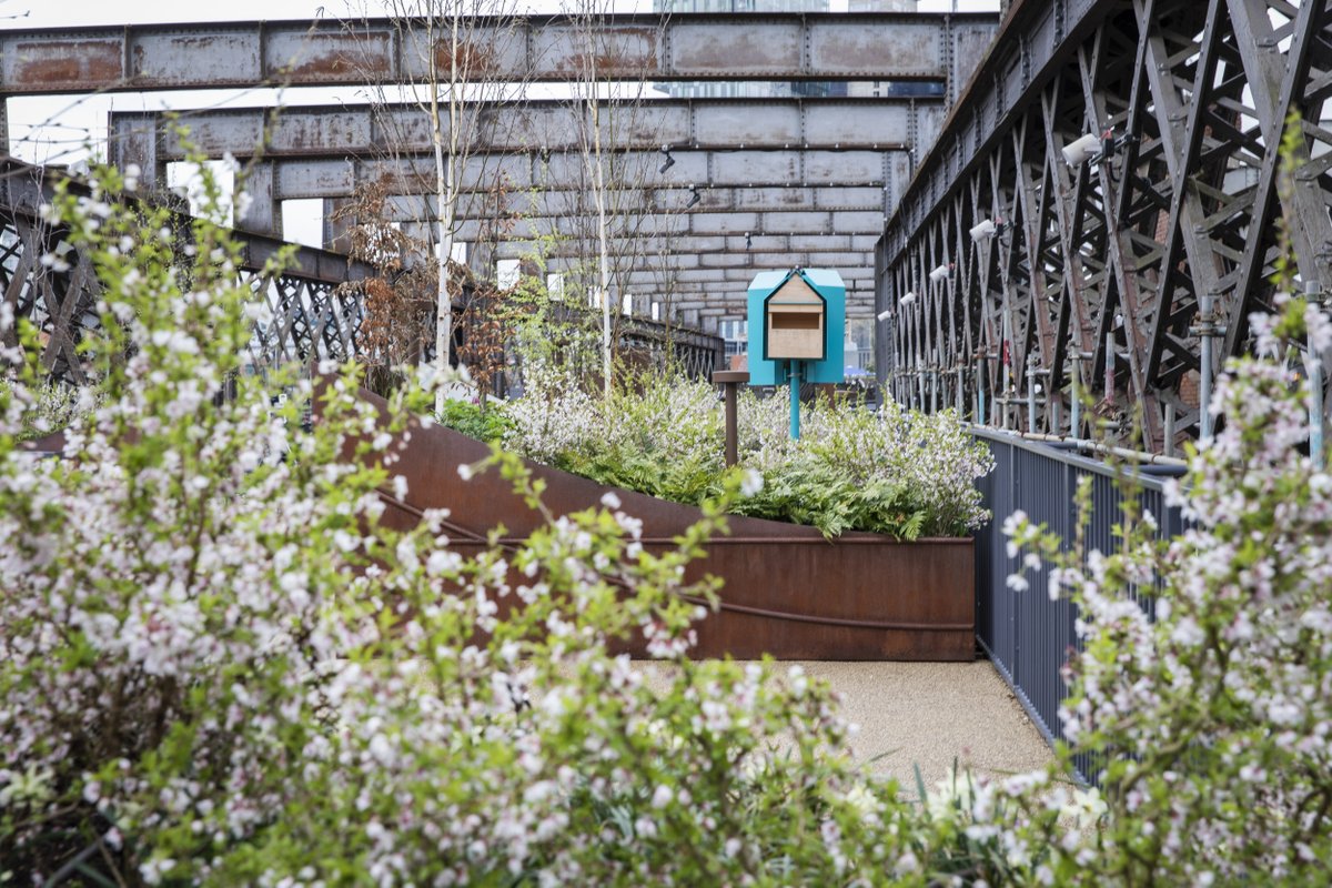 What else could our plant of the month for April even be 🌸 A viaduct favourite, these blossom-filled little bushes filling some of the planters are actually mini cherry trees. They also have the best and most descriptive name: Prunus Kojo No Mai or Flight of the butterflies.