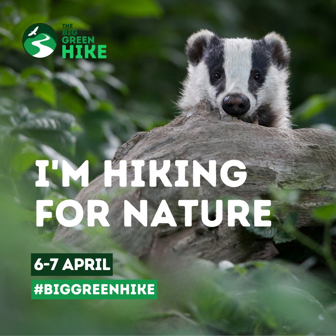 5 days to go until our Big Green Hike Event! 🥾 There's still time to join up to our sponsored walk this Saturday at the Harewood Estate (link below) to get out in nature with fellow rewilders and raise money for Rewilding in Yorkshire! eventbrite.co.uk/e/big-green-hi…