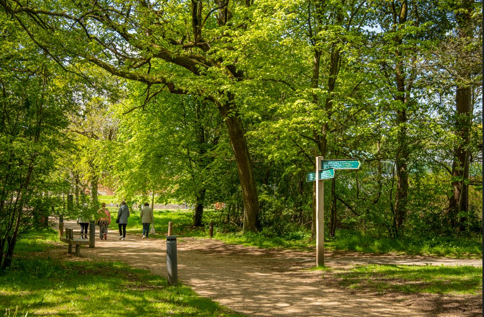 If you are visiting Glasgow for a conference over the next couple of months here are some of the top Spring walks to enjoy whilst you are in our Dear Green Place 🌼 ➡️ peoplemakeglasgow.com/see-do/outdoor…