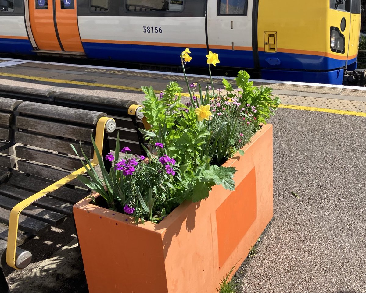 Kudos to whoever looks after the planters at Gunnersbury Station. ⁦