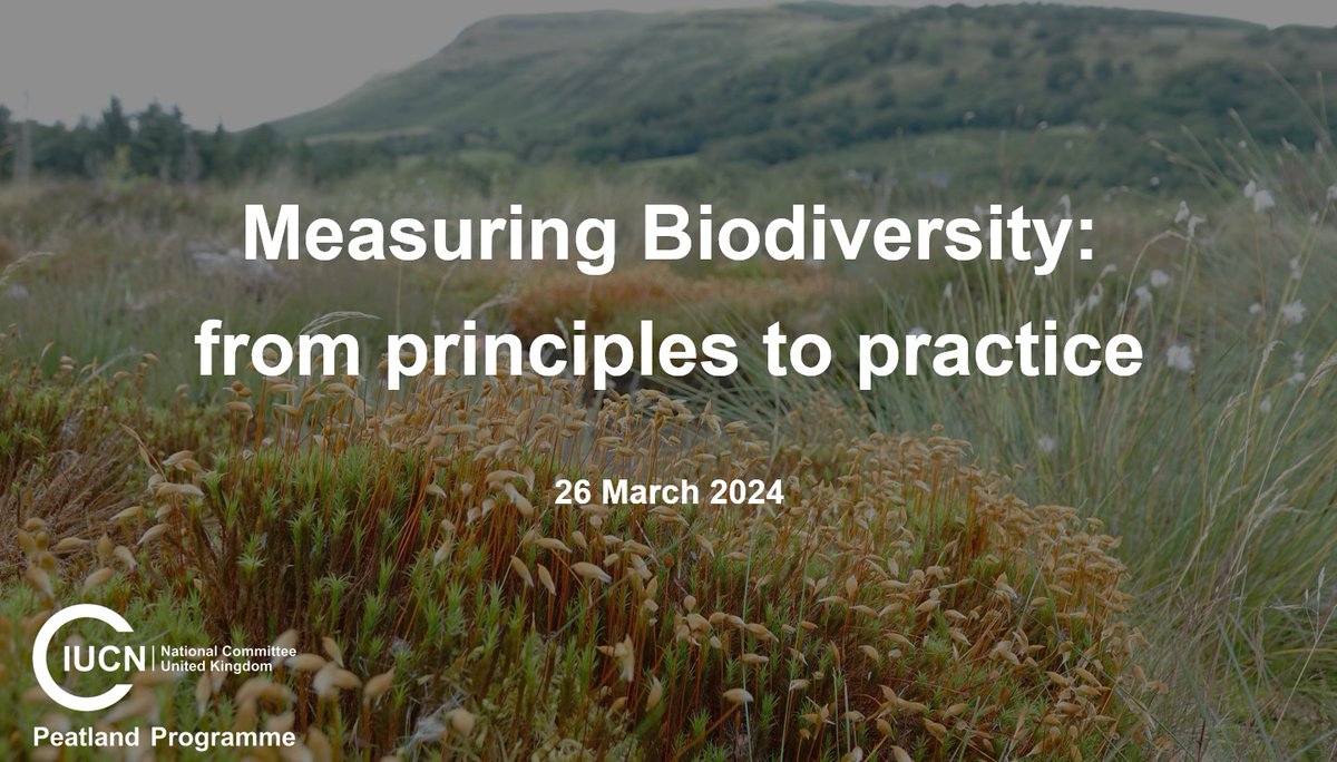 In case you missed it - the recording from our Measuring Biodiversity webinar is now available on YouTube. It explores traditional & technological approaches to measuring biodiversity & how they are being applied in restoring & conserving #peatlands 👇 youtu.be/Q3aMBZE4Hjo?si…