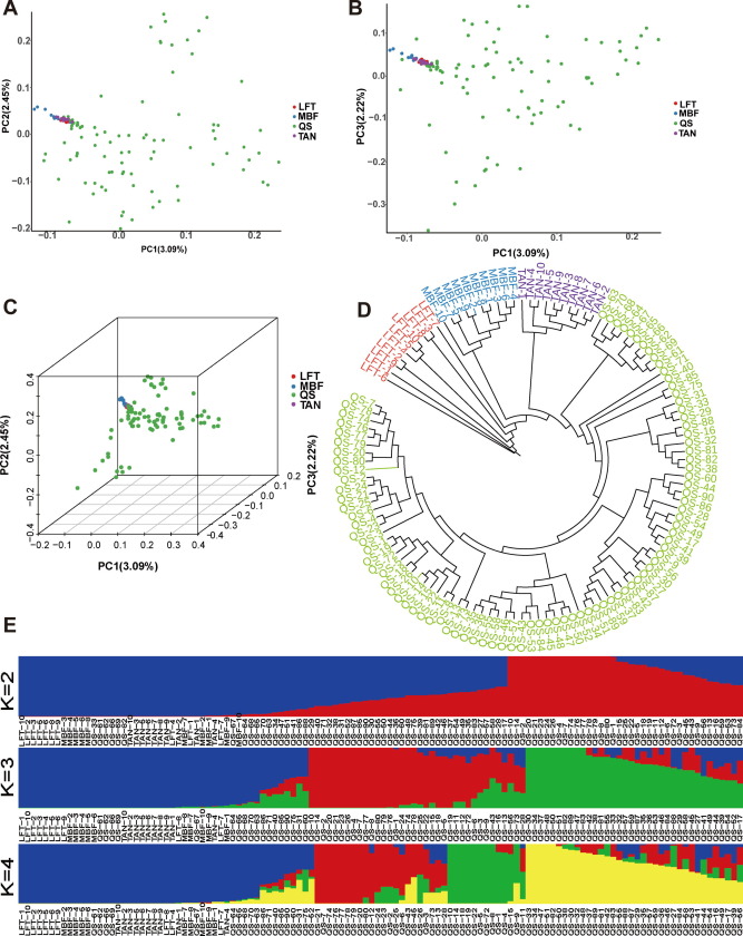 🧬Genomic structure analysis and construction of DNA fingerprint for four sheep populations🐑

The aim of this study was to analyze the population structure of the newly discovered sheep genetic resource, Yongdeng Qishan sheep. 

🔎Read the article here👇
sciencedirect.com/science/articl…