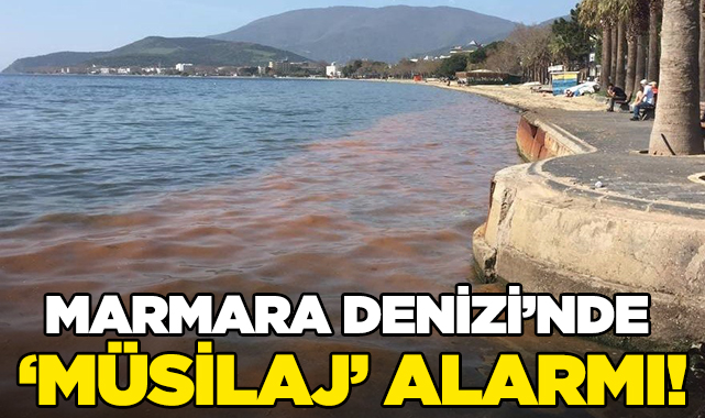 Marmara Denizi'nde müsilaj alarmı!
nobetcigazete.com/marmara-denizi…
#müsilaj #Marmaradenizi #iklimdeğişikliği #gündem #sondakika