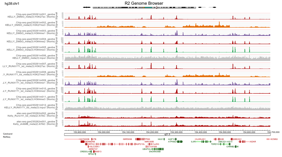 r2_platform's tweet photo. New resource in https://t.co/ZrQJ6Hgur6
40 Chip-seq profiles on histone modifications of #Neuroblastoma cell line KELLY, with or without knockdown of RUNX1T1
R2 open online discovery platform for biomedical #research. #nocode / no #bioinfromatics expertise needed. #science https://t.co/DdCoUDgIdb