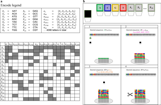 Efficient DNA-based data storage using shortmer combinatorial encoding dlvr.it/T4y2h4 nanotechnology