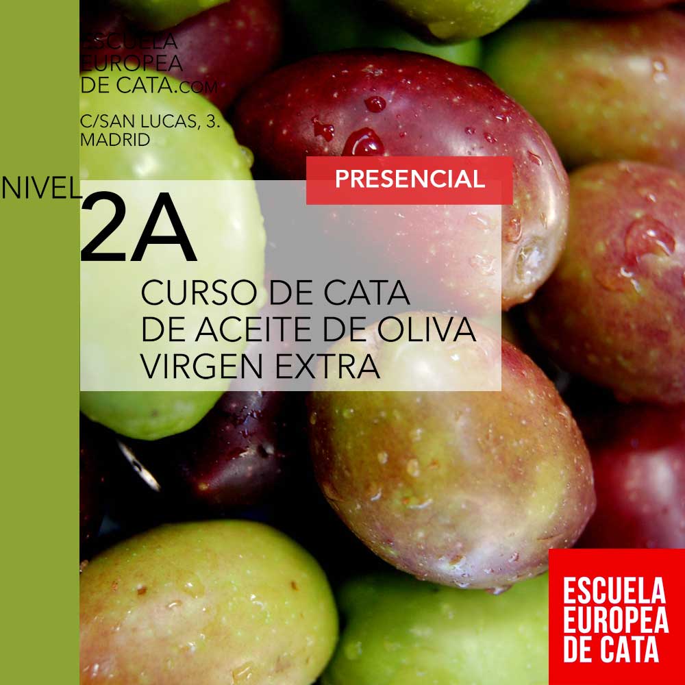 Nivel 2A. Presencial Curso Cata de Aceites de Oliva #AOVE. 9 abril de 11 a 19 h.: escuelaeuropeadecata.com/producto/nivel…